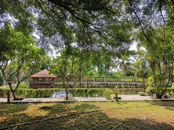 ขายบ้านสวย อ.เมืองนครปฐม เดินทางสะดวก ใกล้ทางทางขึ้น มอเตอร์เวย์ บรรยากาศร่มลื่น